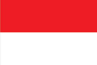 大隈-印度尼西亚队