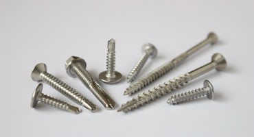 Stainless Steel Screw