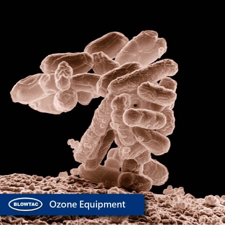 Ozone equipment air supply.