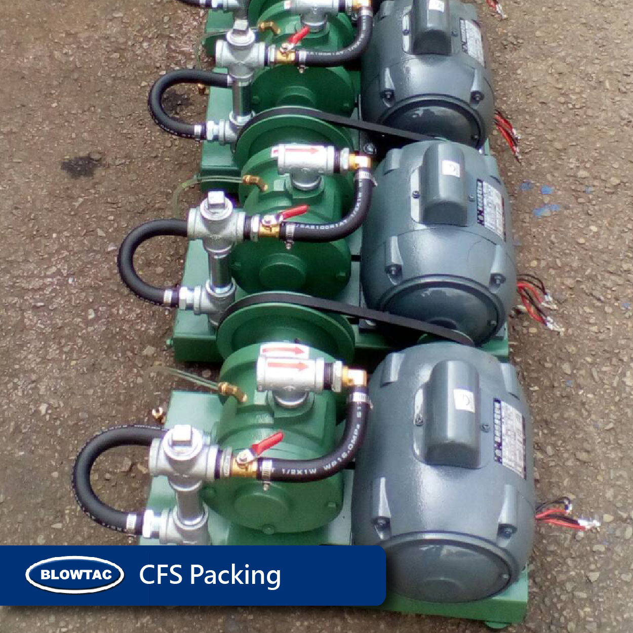 Rotary Vane Type Gas Blower