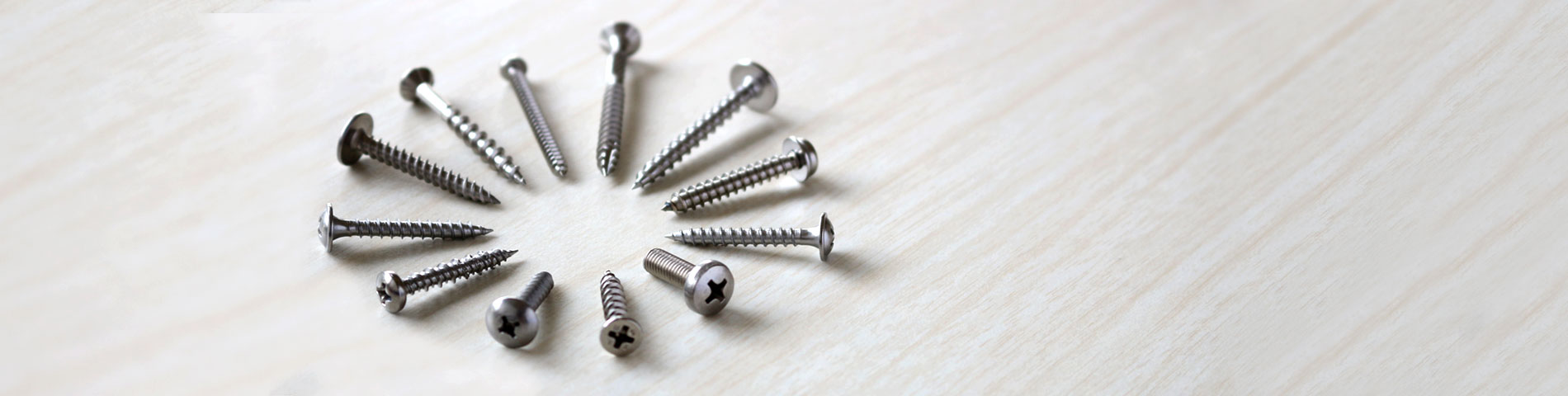 Quality Stainless Steel Screws