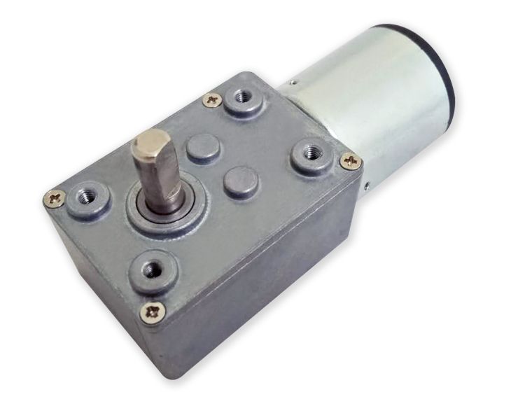 what is the worm gear motor?