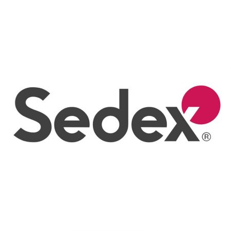 Sedex 4-søjle revisionsrapport