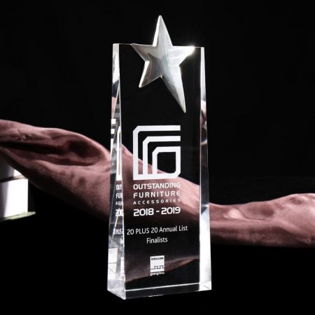 Dynamic Crystal Star Award