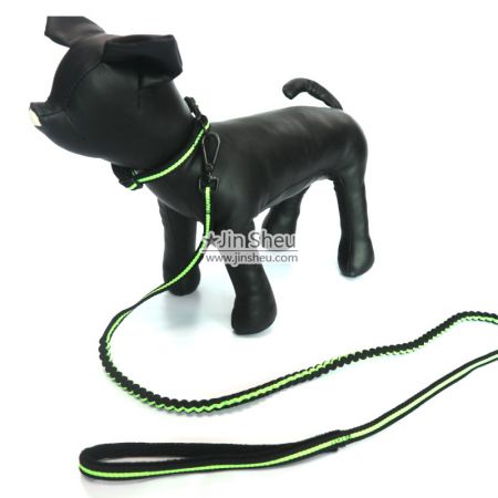 Elastic Bungee Dog Lead - Elastic Bungee Dog Lead