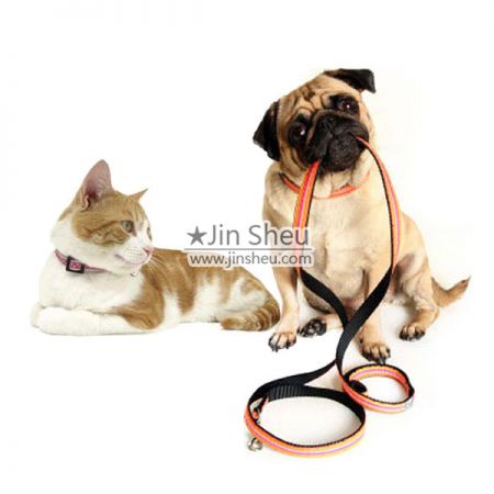 Pet Collars & Leashes - Dog collars and Dog Leashes