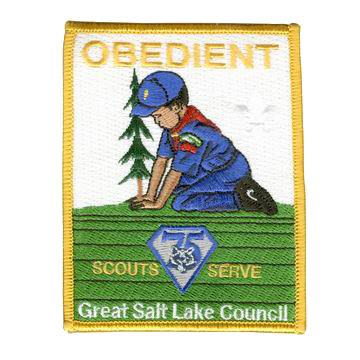 Cub Scout Patches - Cub Scout Patches