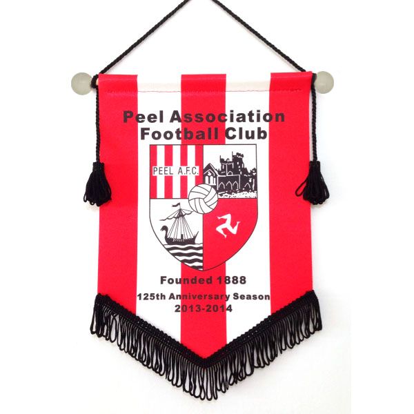 Custom College Sports PennantsCustom College Sports Pennants พวง