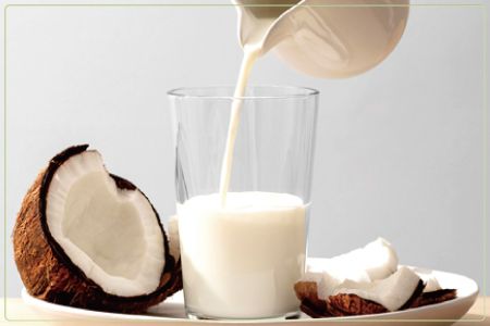 Canned Coconut Milk Drink OEM / ODM / Private Label Of Coconut Milk