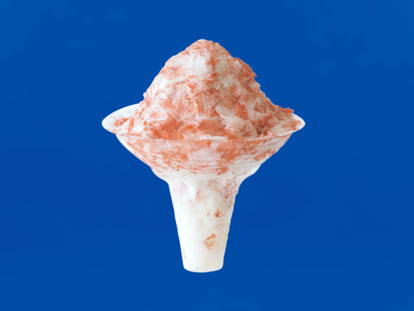 प्लास्टिक आइसक्रीम कप - फूल आकार श्रृंखला