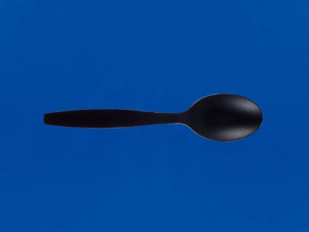Plastic PP Spoon