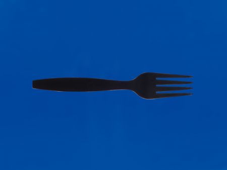 Plastic PP Fork - Plastic-PP Fork