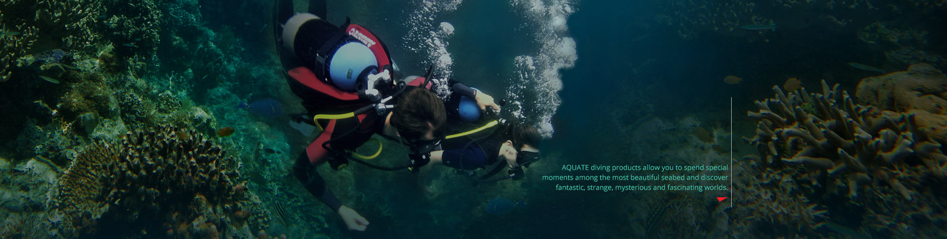 AQUATEC 帶您暢遊，並探索 奇妙、神秘和迷人的海底世界