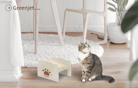 Cat with Raised Wood Pet Feed Bowl Stand