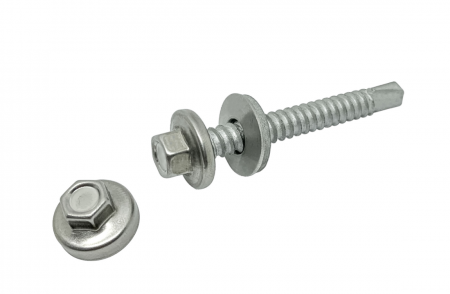 Stainless Steel Capped Screw - Stainless Steel Capped Screw