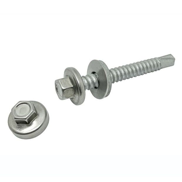 SS Capped Screw