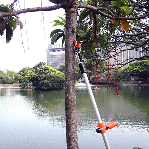 podadora de arboles de jardin