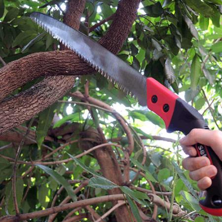 Scie d'élagage de jardin - Scie à main pour élagage d'arbres à lame incurvée et droite