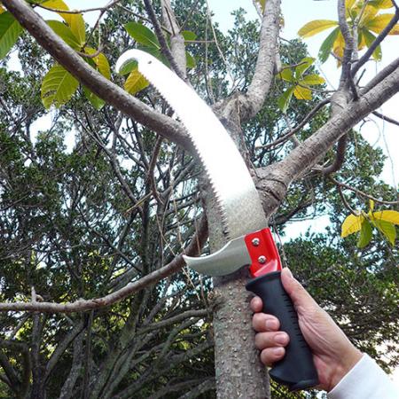 Scie à poteau de jardin - Scie à perche pour élagage d'arbres en hauteur
