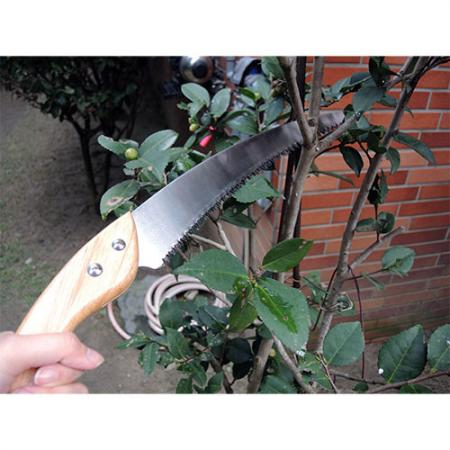 Soteck triple bevel teeth pruning saw for trimming.