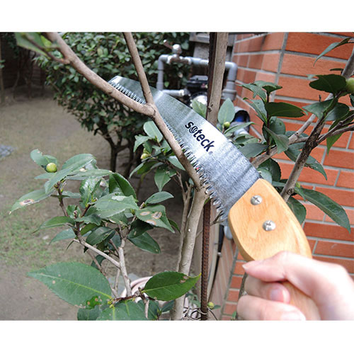 Curved Blade Pruning Saw with Hardened Teeth Soteck A professional
