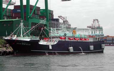 290トンのイカ漁船