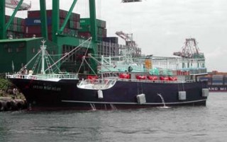 오징어 낚시 배 - 290톤 오징어낚시선