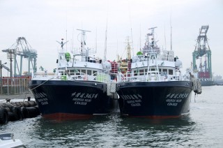 100噸級鮪延繩釣漁船 - 100噸級鮪延繩釣漁船