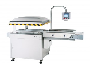 Automatic In Line Belt Type Vacuum Packaging Machine - Automatic In Line Belt Type Vacuum Packaging Machine