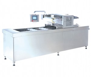 Automatic Tray Sealer with Vacuum and Gas Flushing