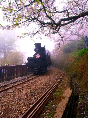 Estrada de ferro da montanha de Chiayi Alishan.