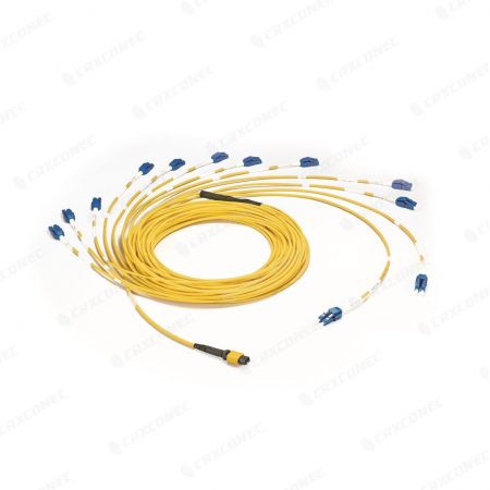 Single Mode OS1 Fiber MTP MPO Trunk Cable Solutions | Crxconec Company Ltd.