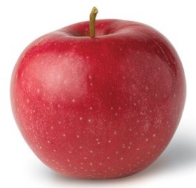 Apfelverpackung - Apfelverpackung