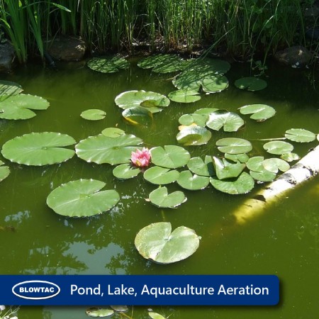 Pond Lake Aquaculture Aeration