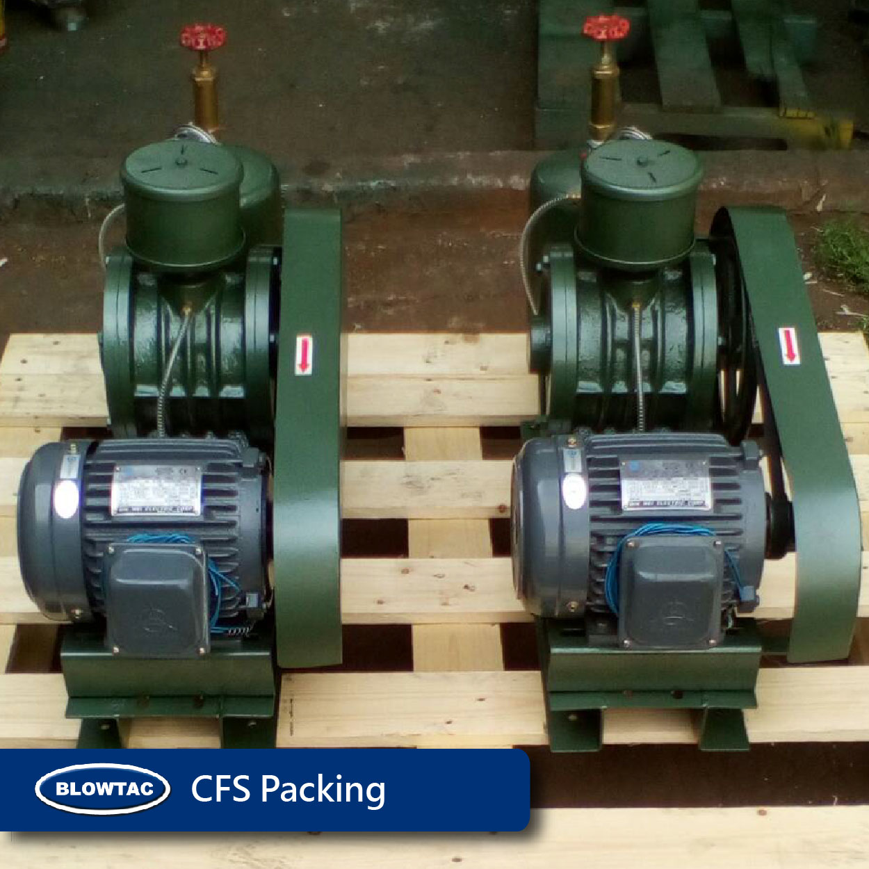 Rotary Vane Type Blower / Vacuum Pump Pumps & Compressor Manufacturer