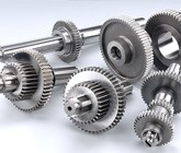 Gear for Machine Tool