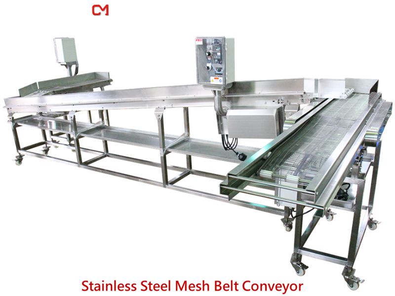 Stainless Steel Conveyor.