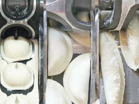 HLT-700XL produce various types of dumplings with different molds
