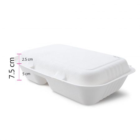 Bagasse Rectangle Meal Container 1000ml Supply Iso Haccp In House Manufacturing Tair Chu