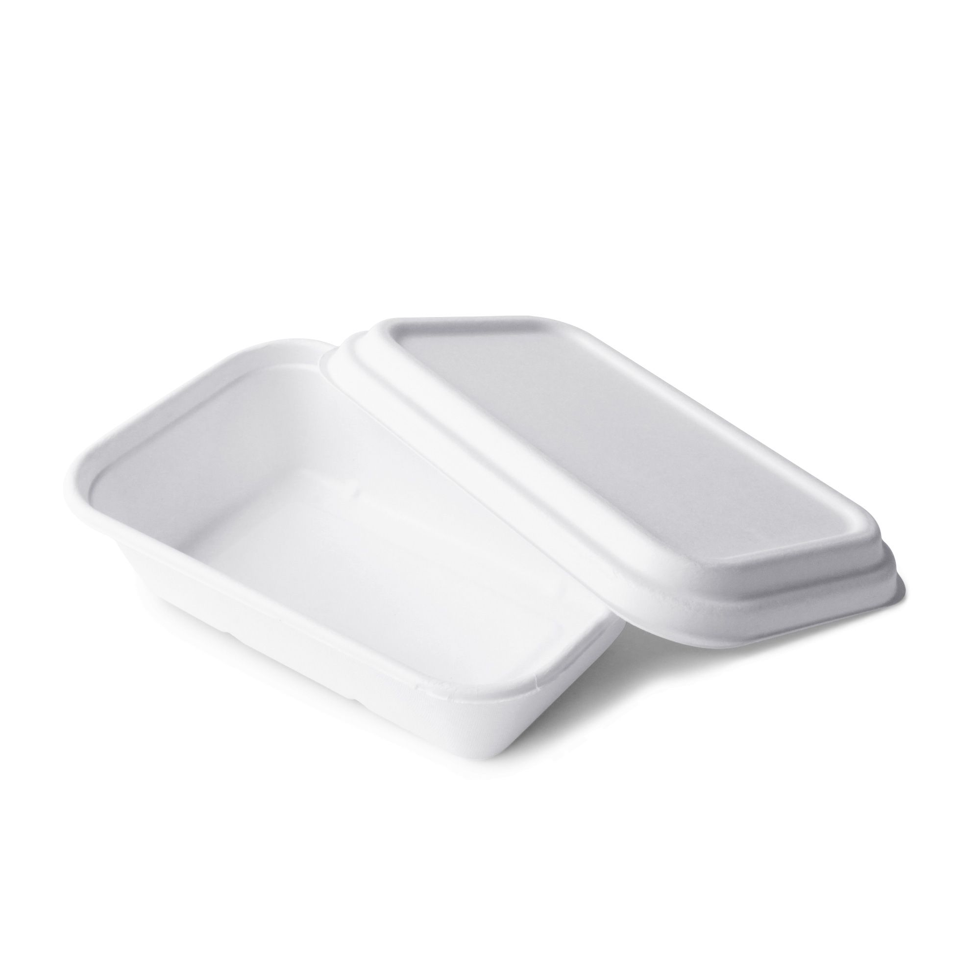 Bagasse Rectangle Meal Container 1000ml Supply Iso Haccp In House Manufacturing Tair Chu