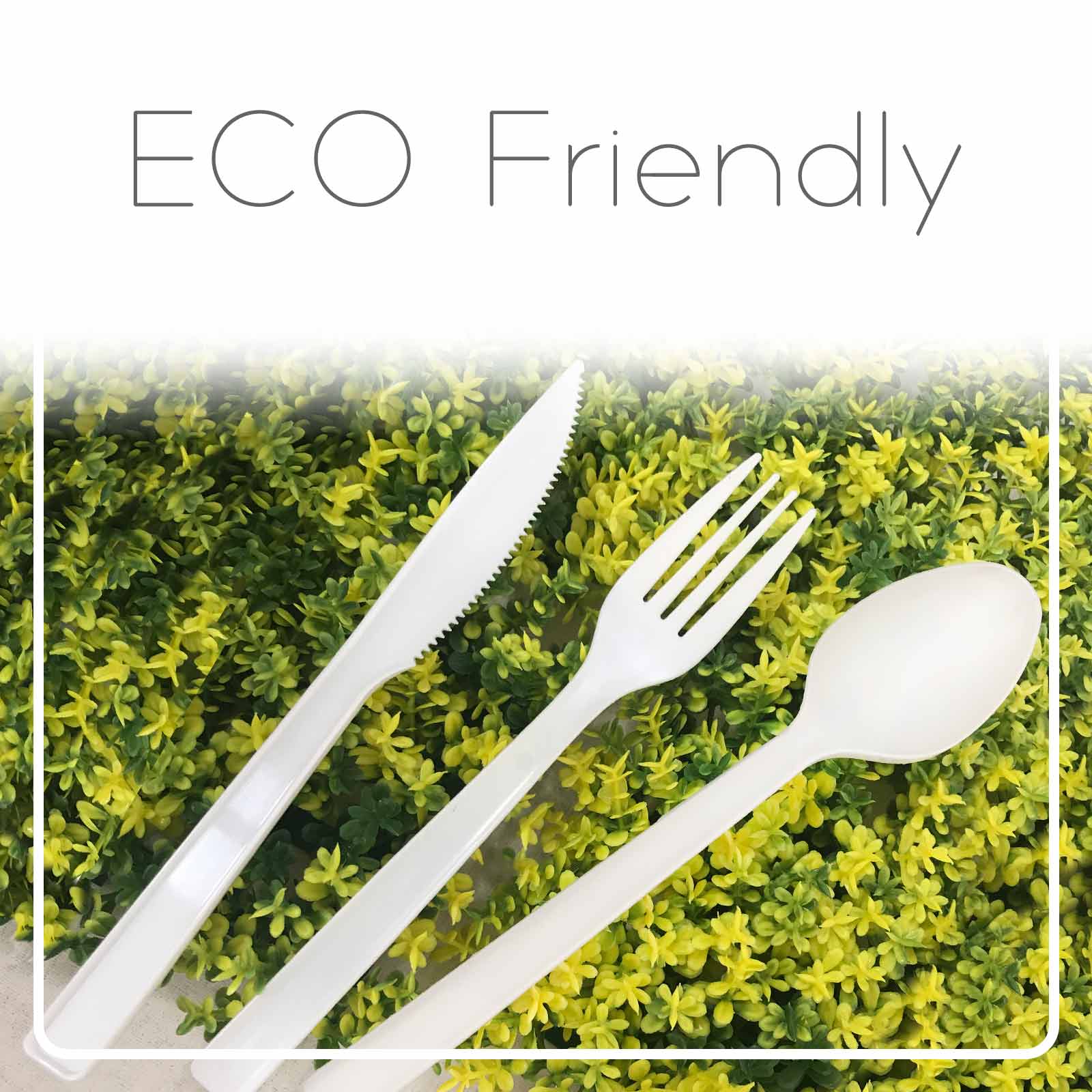 Eco Friendly Tableware Supply. ISO & HACCP InHouse Manufacturing