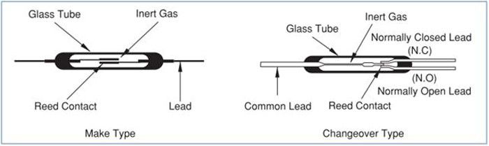 Diagram of the structure of a reed relay