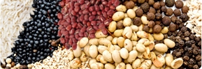Grains, Beans, Agar Agar, Foodstuff & Bakery Powder