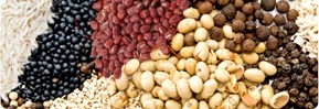 Biji-bijian, Kacang, Agar Agar, Bahan Makanan & Bubuk Roti