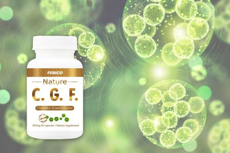 clorellaFattore di crescita (CGF) - Il CGF contiene i nutrienti arricchiti e completi che possono supportare la salute e la rigenerazione cellulare