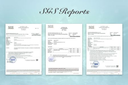 Febico SGS Report