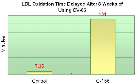 De tijd tot LDL-oxidatie is aanzienlijk VERTRAAGD