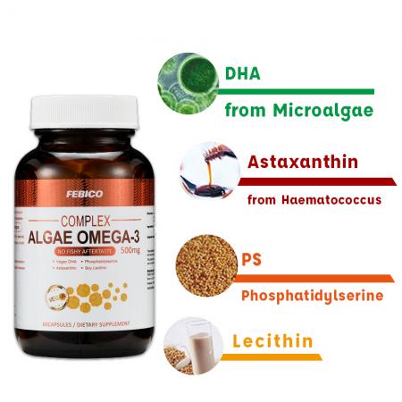 DHA Omega-3 Algae Oil Capsules Microalgae Based Product ...