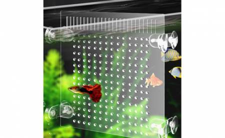 Transparent acrylic fish tank partition: The clear and light acrylic sheet creates a new space for the fish tank.