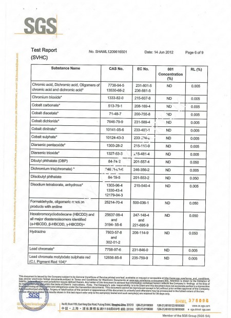 REACH TEST REPORT Page 6
